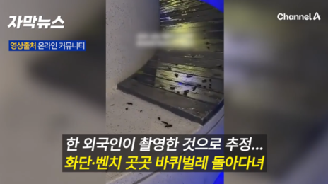 “서울 한복판에 바퀴벌레 떼가”… 서울로7017 영상에 시민들 충격