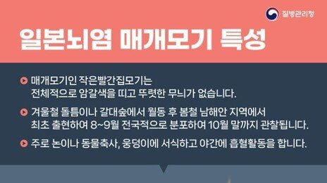 대구서 일본뇌염 바이러스 모기 발견…“전국 경보 발령”