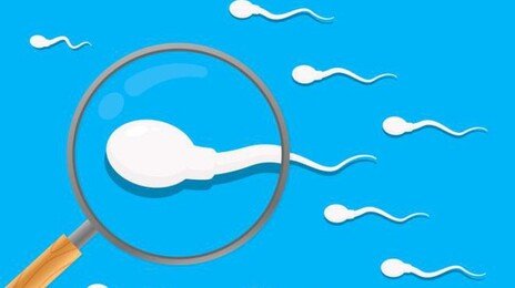비만 치료제의 뜻밖의 효과…남성 호르몬·정자 질 개선 가능성