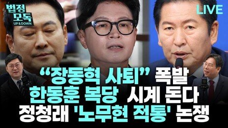 “장동혁 체제, 김재원에 달려…국힘, 가을쯤 비대위 전환할 것”