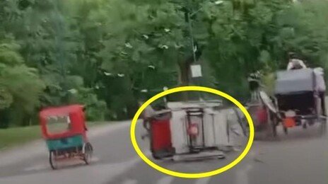 뉴욕 센트럴파크 관광마차 폭주…18세 인도 소녀 숨져