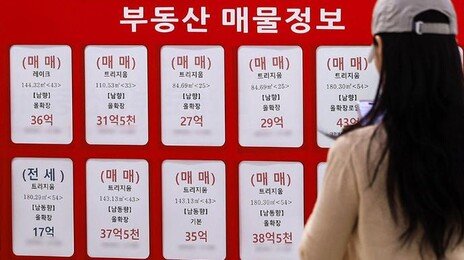 “대통령 말 이해하지만 월세 살면 한 달 지출이 2배로 늘어요”