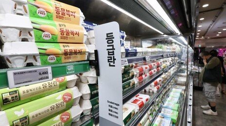 ‘달걀 10구’ 가격 5000원 뚫었다…이른 폭염에 밥상물가 비상