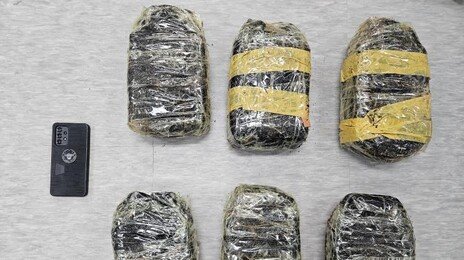 베트남서 마약 20㎏ 반입해 야산에 묻어두고 판매한 일당 검거