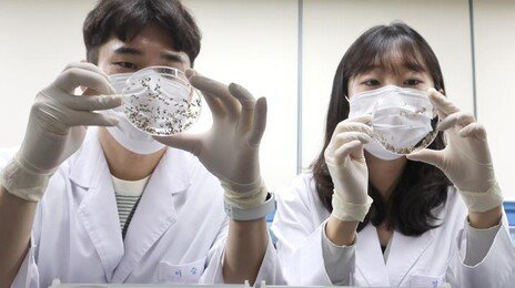 전국에 말라리아 주의보…“모기 물린뒤 발열땐 병원에”