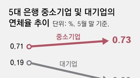 中企 금리인상 직격탄… 시중은행 연체율 0.73% 역대 최대