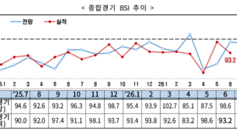 ‘반도체만 호황’…7월 기업 체감경기 4개월 연속 부정 전망