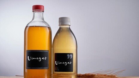 여름철 식중독 무섭다면…‘이것’이 도움