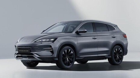 BYD 전기차 살때 정부 보조금 못받는다