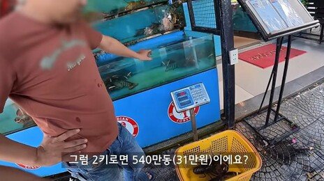 베트남 ‘경기도 다낭시’의 씁쓸한 근황…바가지 상술에 韓 관광객 ‘씁쓸’