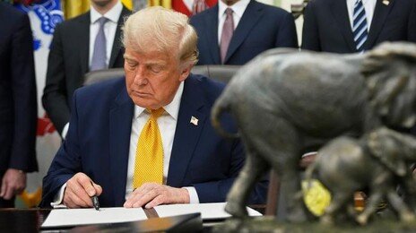 출생시민권 제한 막히자, 강성 MAGA “외국인 임신부 입국 금지를”