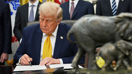 임신부 美입국 막히나…백악관 “일시적 방문도 신중히 따져야”