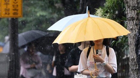 전국 본격 장마…토요일 충청 이남 거쳐 일요일 수도권 확산