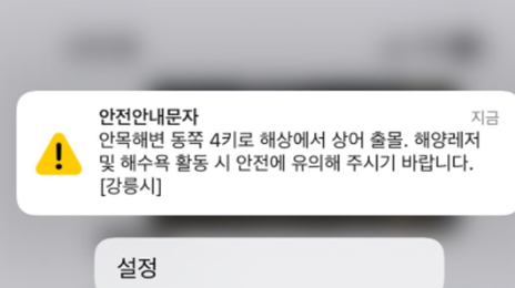 “안목해변 동쪽 4㎞ 상어 출몰” 안전문자…작년에도 목격