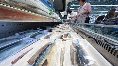 노르웨이에 ‘고등어 민관 특사단’ 뜬다…2000t 물량 확보