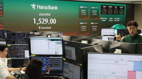 “24시간 환율 대응”… 원화 국제화에 기업들 환영