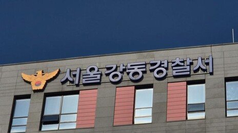 신호 위반한 60대 車에… 길 건너던 초등생 숨져