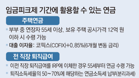 월급도 받고 연금도 받는 생존 전략[김동엽의 금퇴 이야기]