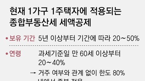 초고가-비거주 주택 보유세 올린다… 장특공제, 거주 중심으로