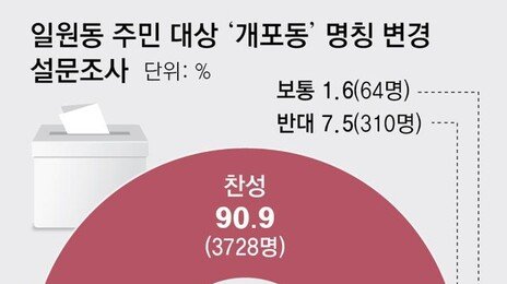 ‘일원동 일부→개포동’ 명칭 변경 검토