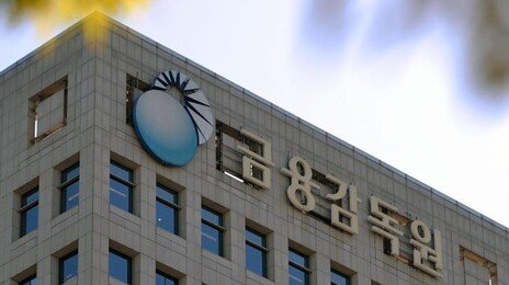 “해외직접투자, 1달러라도 신고하세요”…작년 외국환거래 위반 1072건