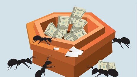 ‘불장’ 좇아 노후자금까지 깼다…연금저축 해지 65% 폭증