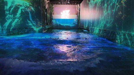 파도풀 헤치고 에이스 구하러…제주에 나타난 ‘올 블루’를 걷다