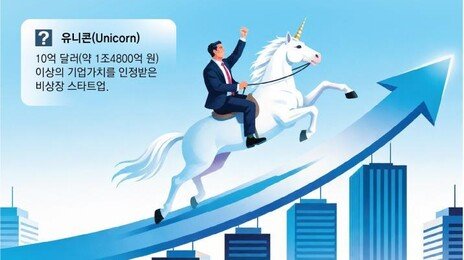 ‘벤처 투자’ 먹고 크는 국내 유니콘… 올 상반기 2곳 늘어 29곳