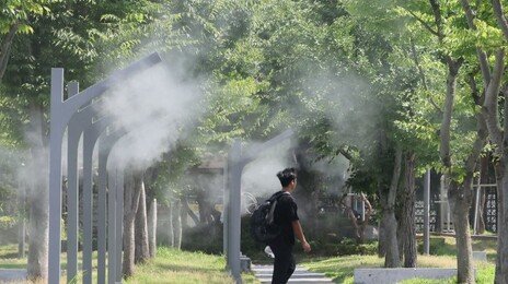 강원·경상권 중심 폭염 계속…제헌절 남부지방 최대 80mm 비
