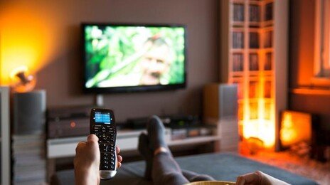 TV 많이 보면 바보 된다?…터무니없는 말 아니었다