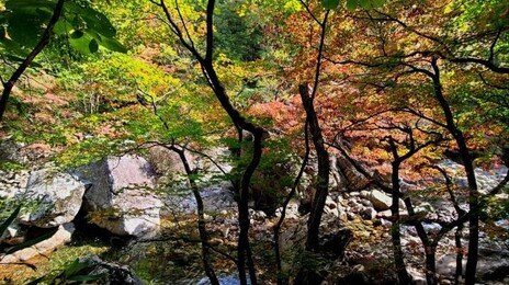 지리산 피아골서 60대 남성 실종 신고…소방 수색 중