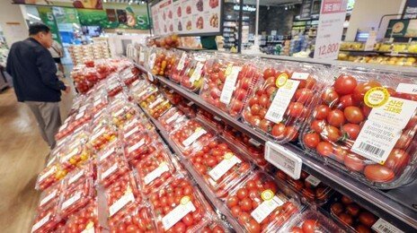 ‘스테비아 토마토’의 진실…농산물 아닌 가공식품이었다