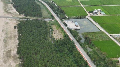 소나무 재선충병 확산 막을 ‘400km 방제 장벽’ 만든다