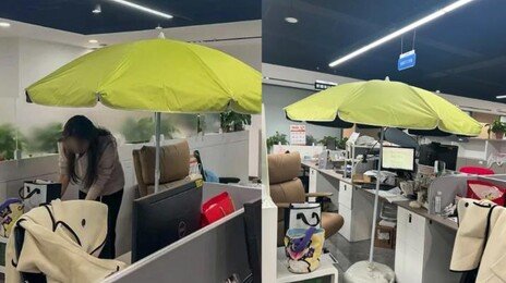 “노화는 위험해”…사무실 자리에 파라솔 친 직장인
