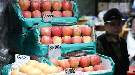 정부, 추석 물가 안정에 900억 추가 투입…바가지요금 단속도 강화