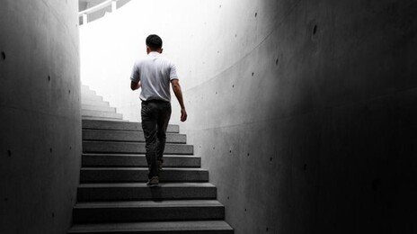 하루 몇 층 올라야 운동될까?…전문의 3명이 알려준 ‘계단 운동법’ [바디플랜]
