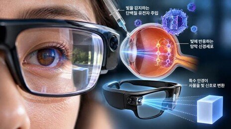 “눈에 유전자 넣고 특수 안경 썼더니”…실명 환자 6명 시각 기능 개선
