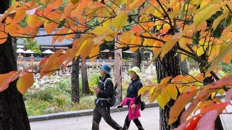 올해는 ‘지각 단풍’ 없다…설악산 울긋불긋 20일 절정