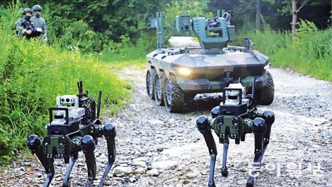 ‘삼각파도’의 안보위기를 국방개혁의 호기로