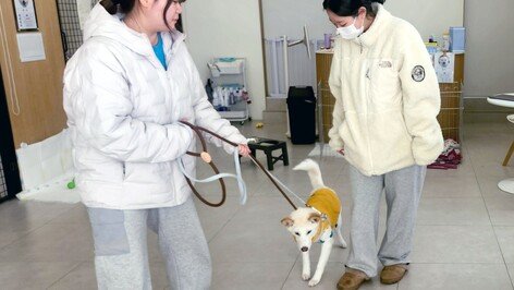 고향사랑기부로 유기견에 새 삶 선물