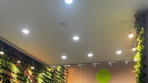 전쟁기념관에 녹색 쉼터 ‘생활밀착형 실내숲’ 조성