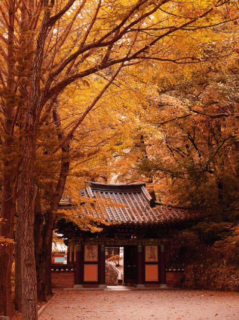 구미 금오산 해운사. [홍중식 기자]