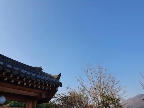 임진왜란 때 일본에 끌려간 ‘심수관’ 도공 일가를 그린 ‘고향을 어찌 잊으리이까’ 작가인 고(故) 시바 료타로(司馬遼太郞) 선생은 1945년 일본이 세계 최강이라고 자랑하던 만주 관동군에 배속돼 있었다. 소련군이 8월 9일 선전포고 후 막강한 기갑부대를 앞세워 소만국경을 돌파하자 관동군은 순식간에 궤멸됐다. 선생은 패잔병이 돼 도보로 만주에서 압록강을 건너 서해안을 따라 내려와 부산으로 가서야 귀국할 수 있었다. 선생이 전라도 지방을 걸을 때 조선의 하늘이 그토록 맑을 수가 없었다. 조선백자의 맑음과 통하는 것이었다. 패잔병으로서의 참혹한 기억에 남은 조선의 가을하늘은 그에게 평생 큰 영감을 주었다. [신평 제공]