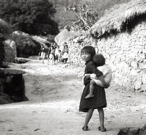 아기를 업고 있는 여자아이. 당시에는 이렇게 바쁜 부모를 대신해 형제자매가 어린 동생들을 돌보는 일이 흔했다. 사진 정면에 울창하게 보이는 것은 천연기념물인 비자나무. [사진 제공 · 일조각]