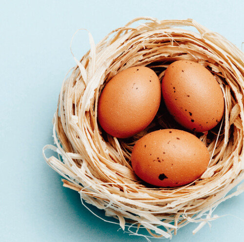 진정한 포트폴리오는 오를 종목만 담는 것이다.  [GettyImages]