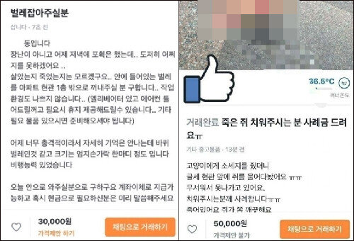 벌레·쥐사체 치워주세요”… 당근마켓 '꿀알바(?)' 관심 폭발｜동아일보