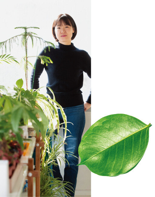 식물의 힘을 전파하는 정재경 라이프스타일 크리에이터. [지호영 기자]