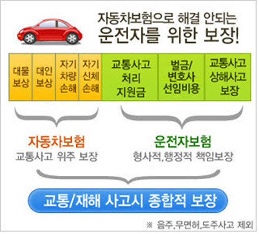 [비즈갤러리] “운전자보험 비교사이트 활용하세요” : 스포츠동아