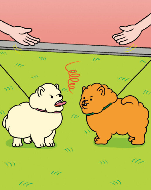 쉽게 흥분하는 반려견은 다른 강아지를 보면 큰 소리로 짖거나 달려드는 등 문제 행동을 나타낸다. [GETTYIMAGES]