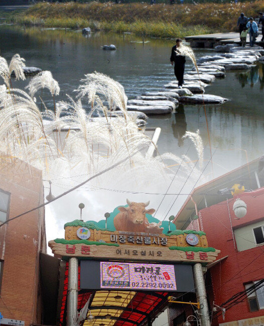 [도시몽타주] 서울 마장동, 천변풍경과 축산시장의 기묘한 이중주 - 뉴스 썸네일 이미지